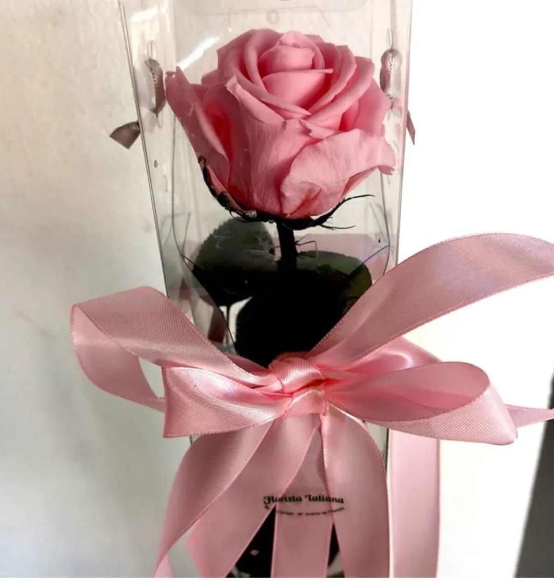 Rosas Preservadas 