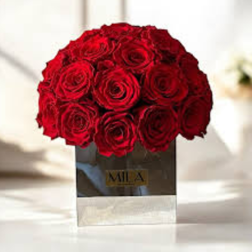 Special Saint Valentin