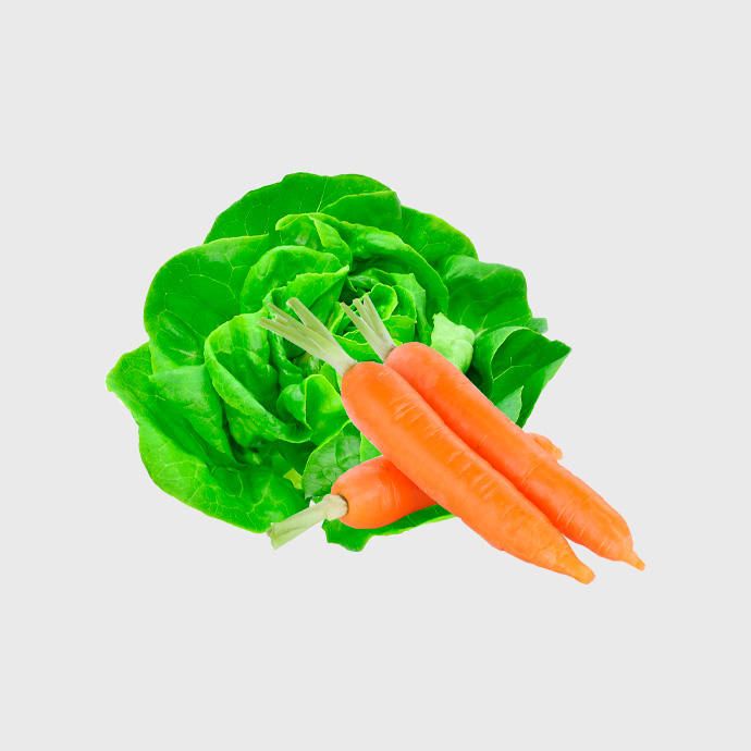 Verduras Y Hortalizas