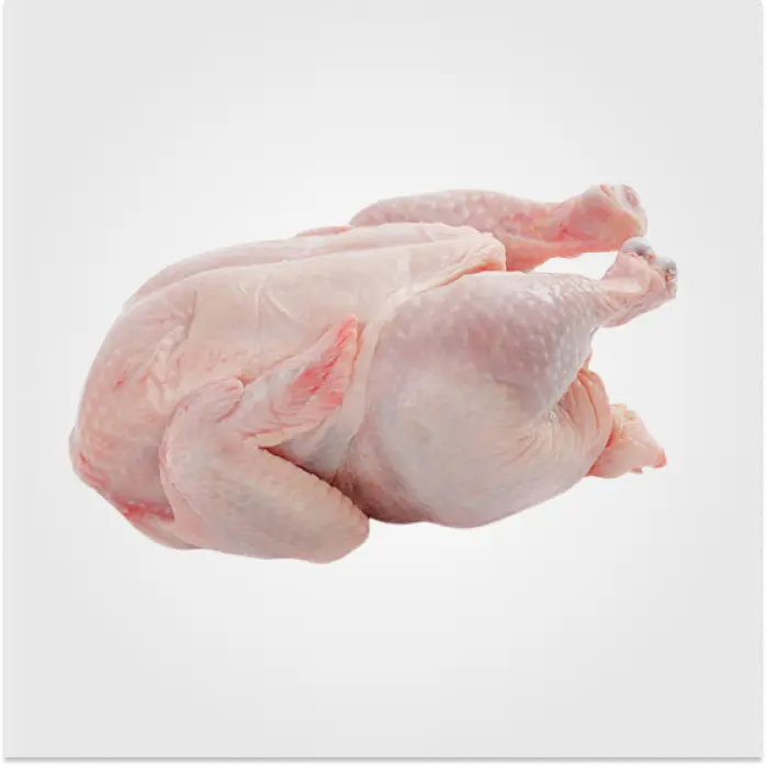 Pollo