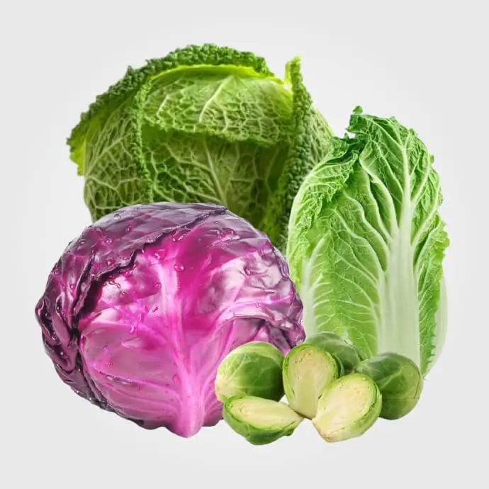 Coliflor, Brócoli Y Derivados