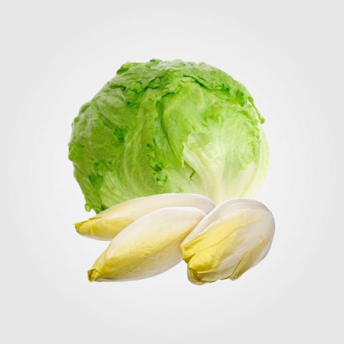 Lechugas Y Ensaladas