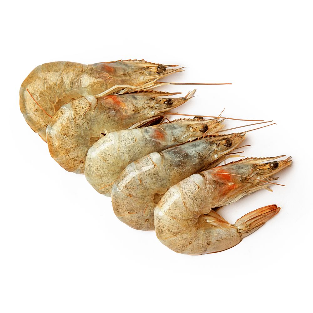 Морепродукти та молюски