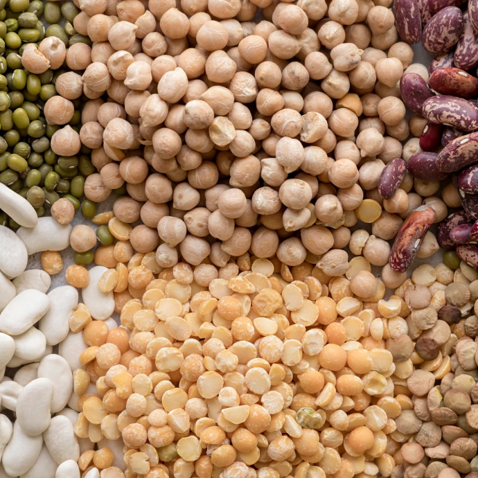 Legumbres 
