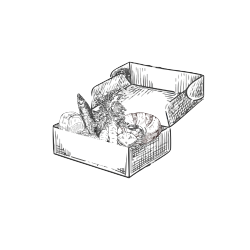 Packs - Cerveza Estrella Galicia