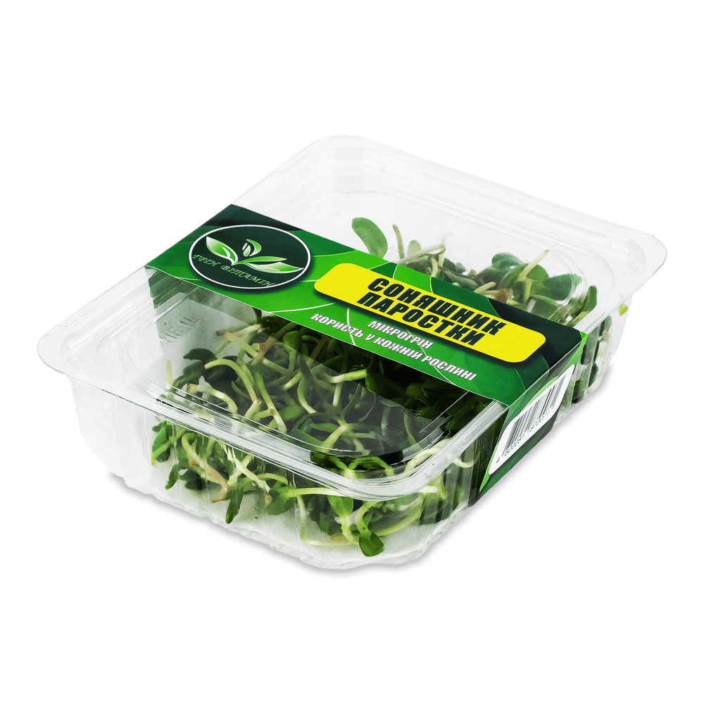 Зелень і салати