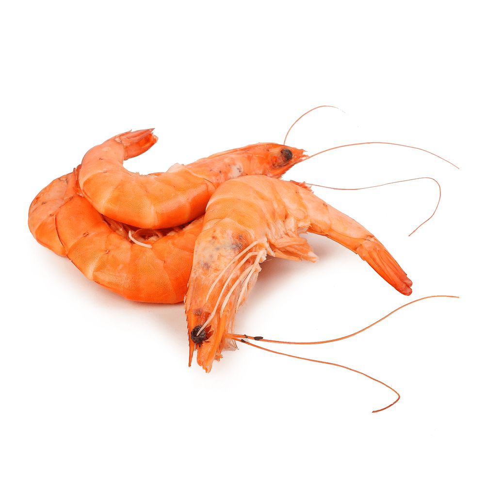 Морепродукти та молюски