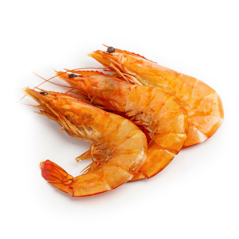 Морепродукти та молюски