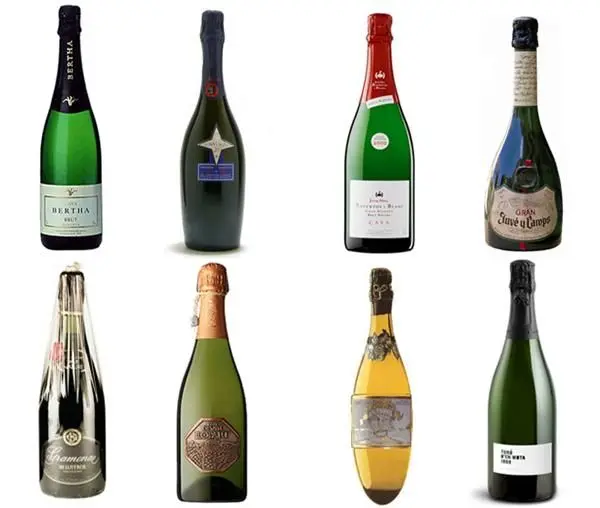 Vinos Y Espumosos
