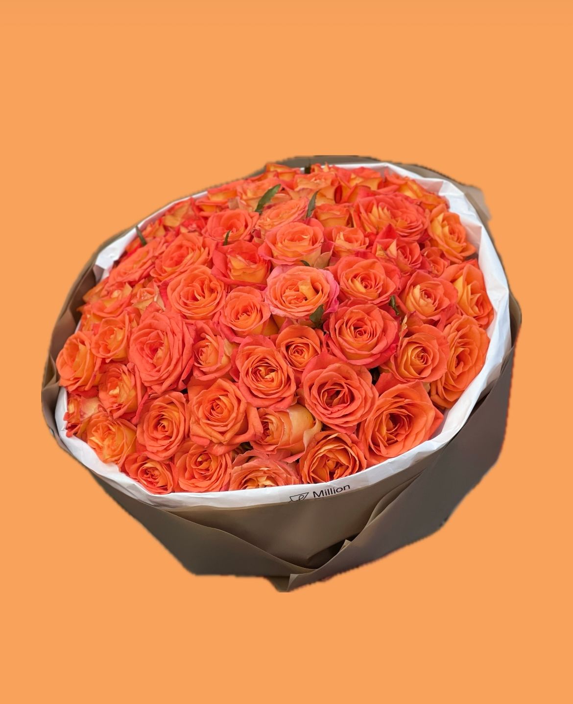 ПОМАРАНЧЕВІ ТРОЯНДИ