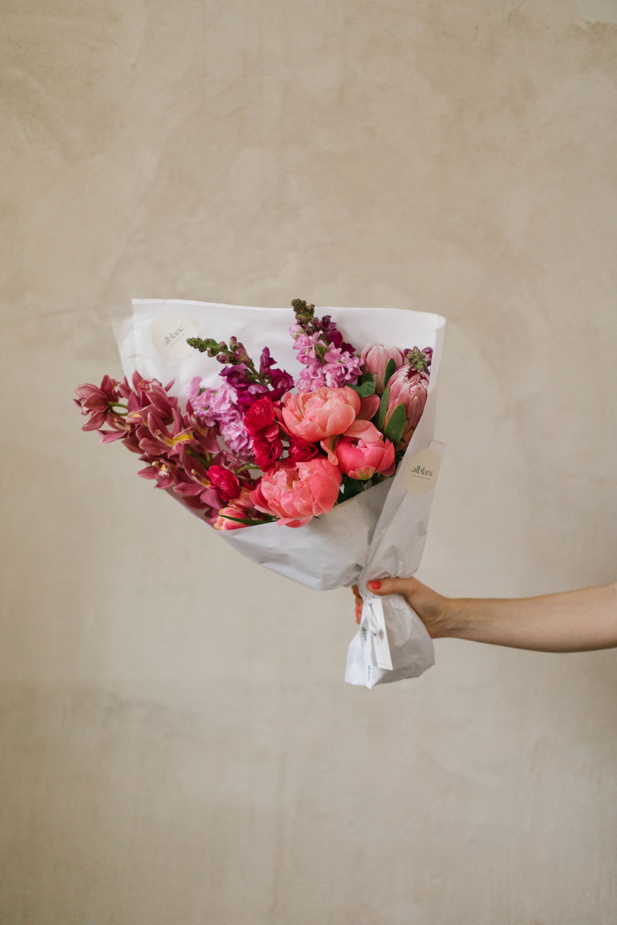 Colección especial día de la madre