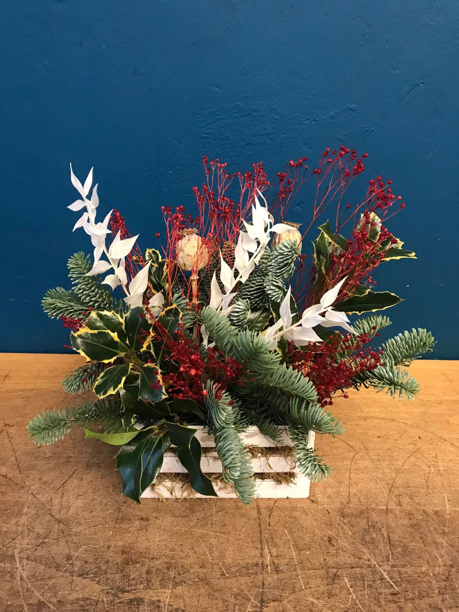 NAVIDAD Centros y Plantas