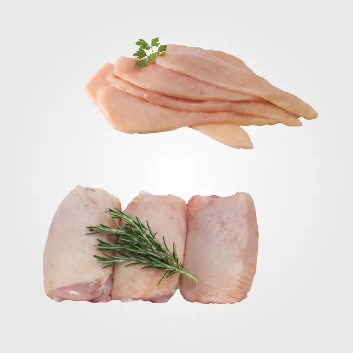Pollo