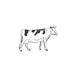 Ternera, Vaca y Buey - Carne de Equino y el Corte de Sebas