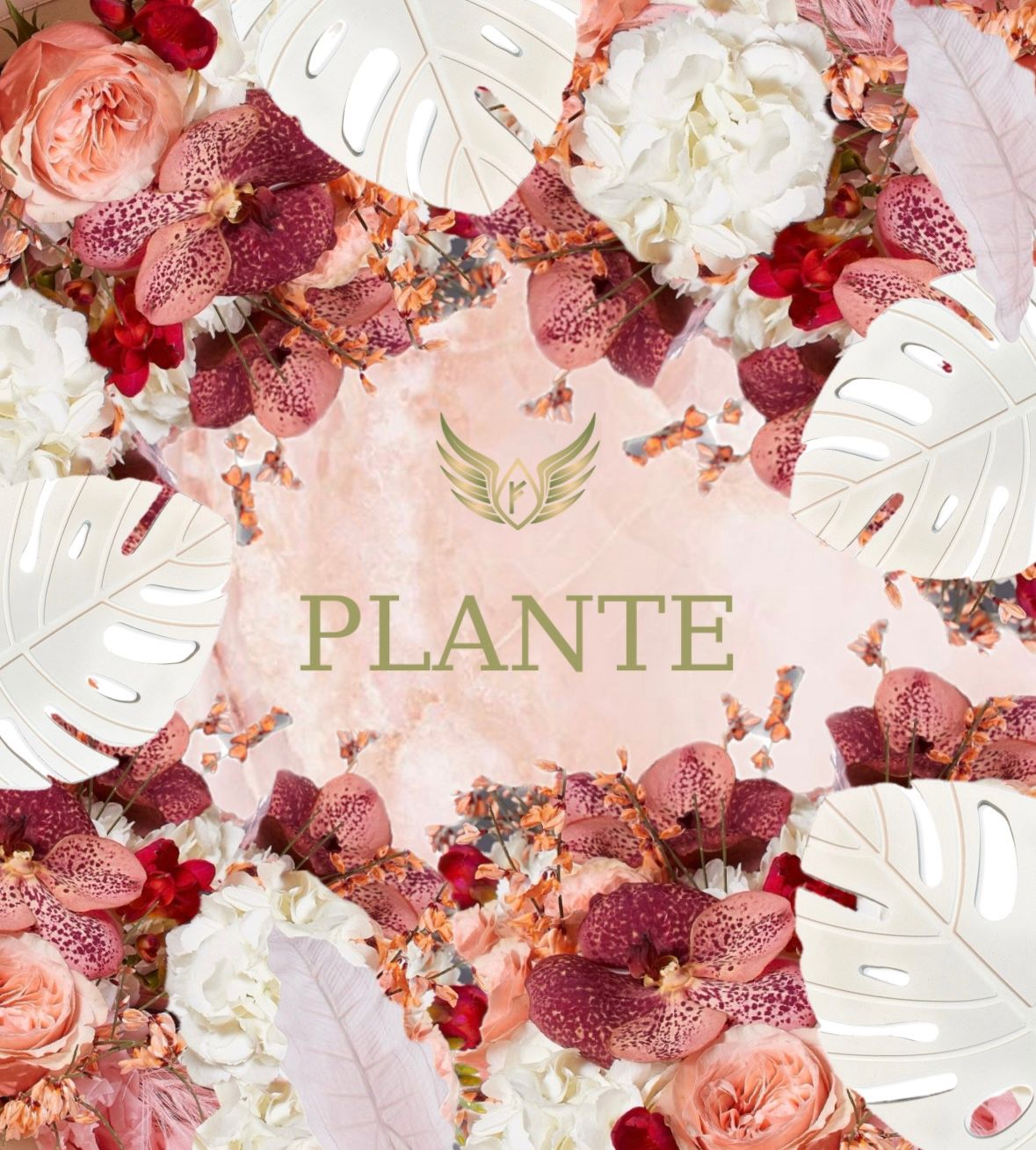 PLANTE