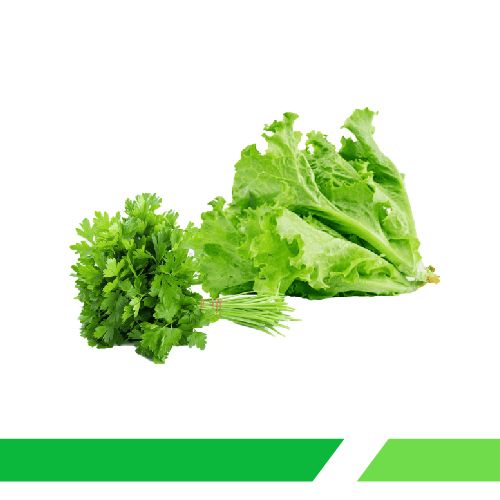 მწვანილი