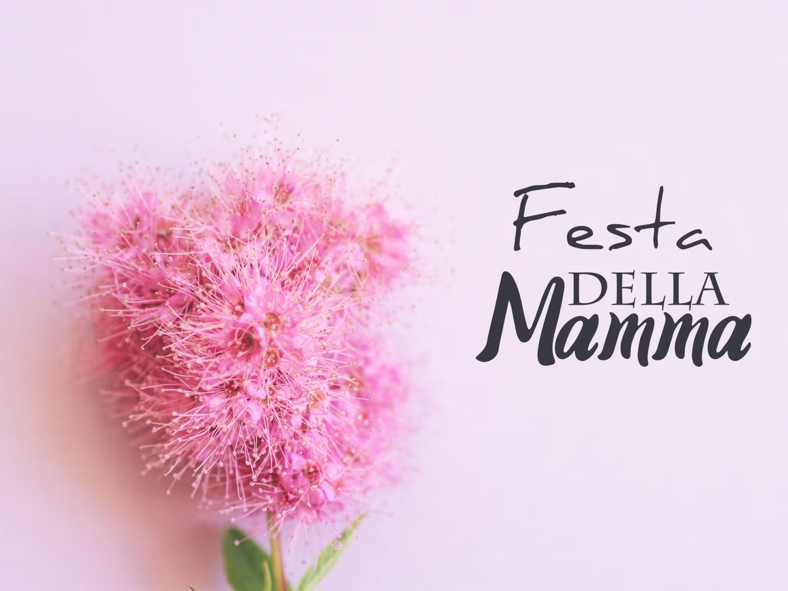 Festa Della Mamma