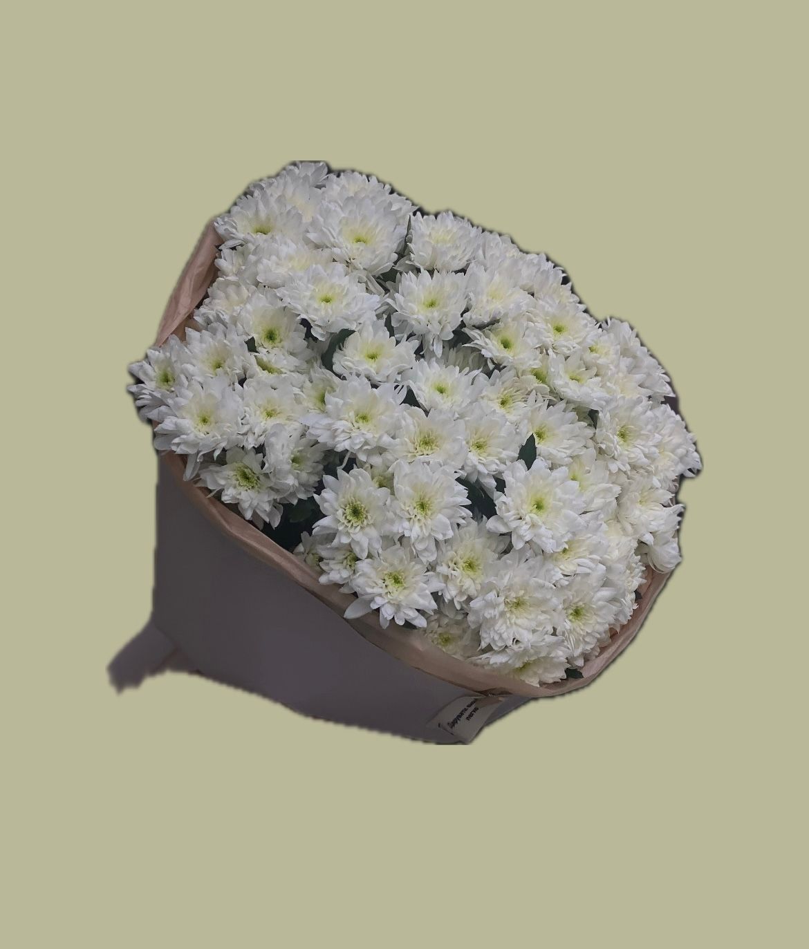 ХРИЗАНТЕМА