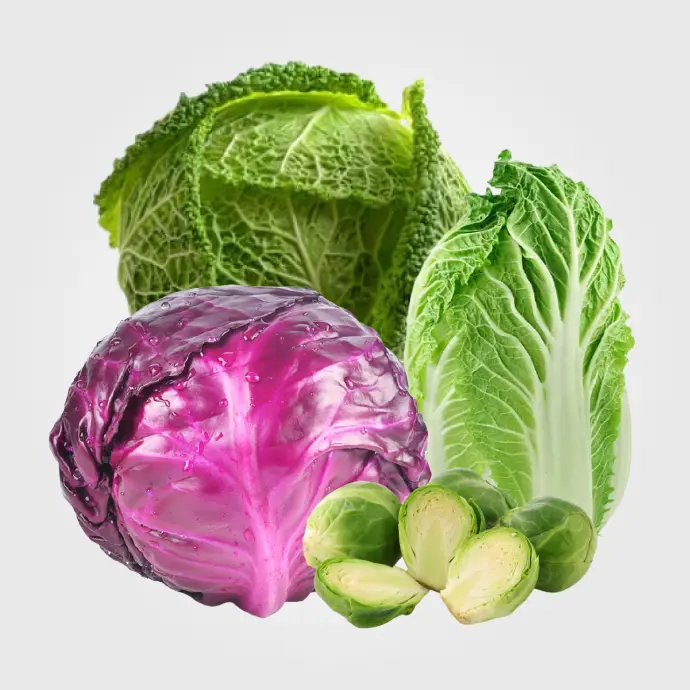 Coliflor, Brócoli, Calabacin Y Pepinos