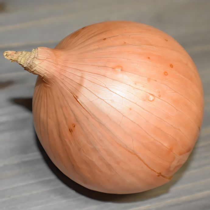 Cebollas, Puerros Y Espárragos