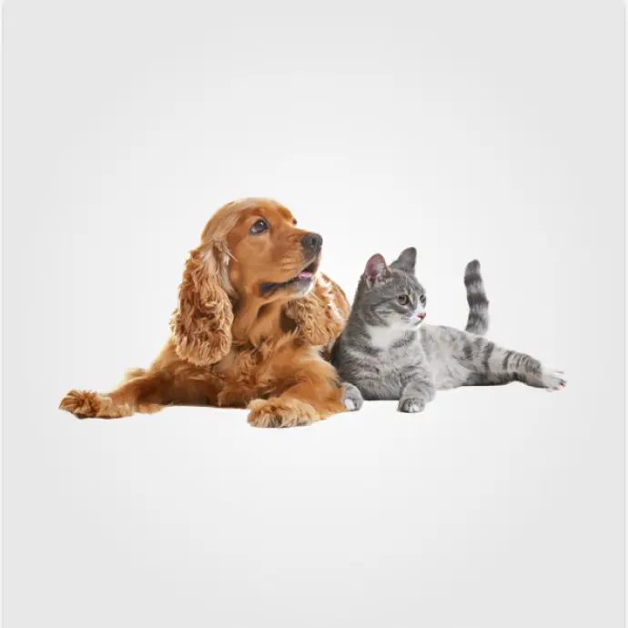 Pet Shop!