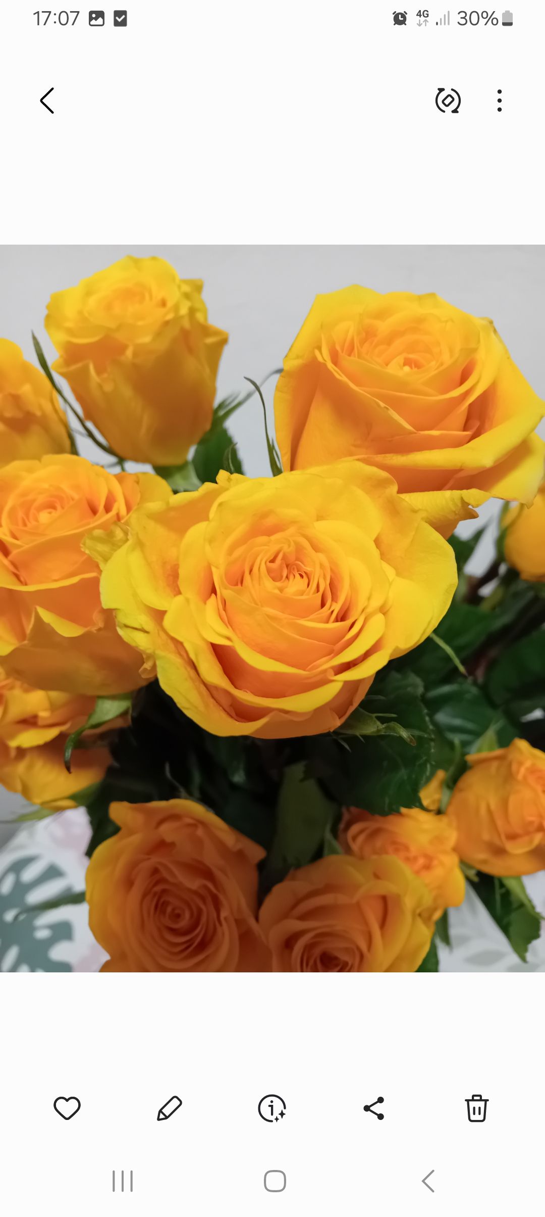 Especial 21 de Septiembre Flores Amarillas