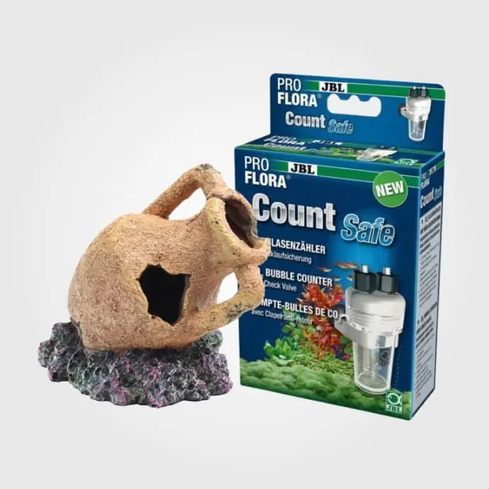 Accesorii pești