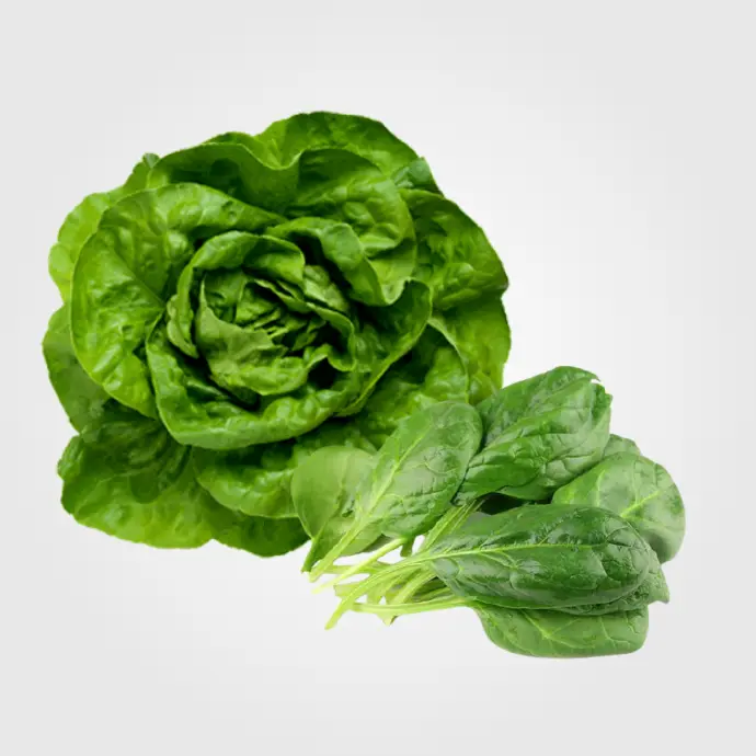 Lechugas, Ensaladas Y Hierbas Frescas