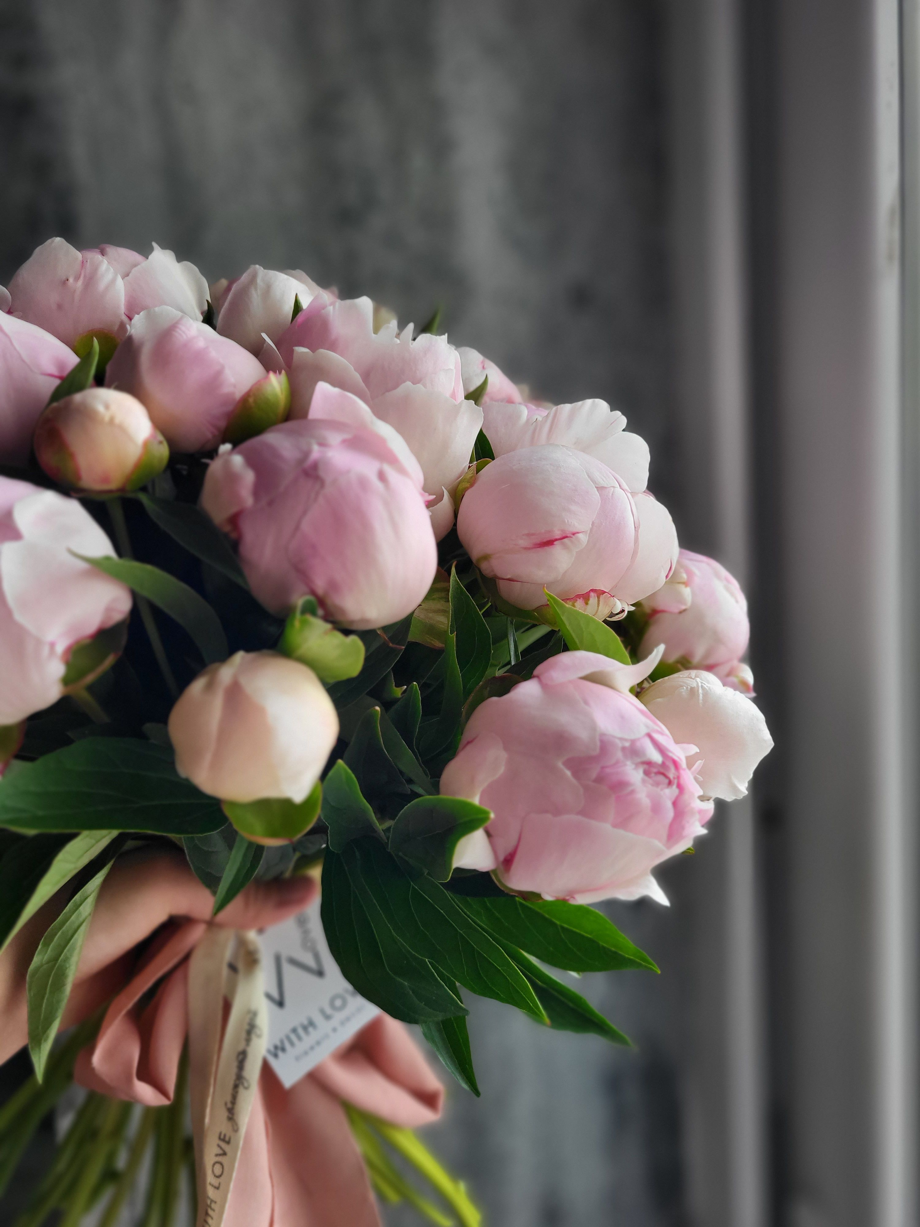 Сезонні квіти 