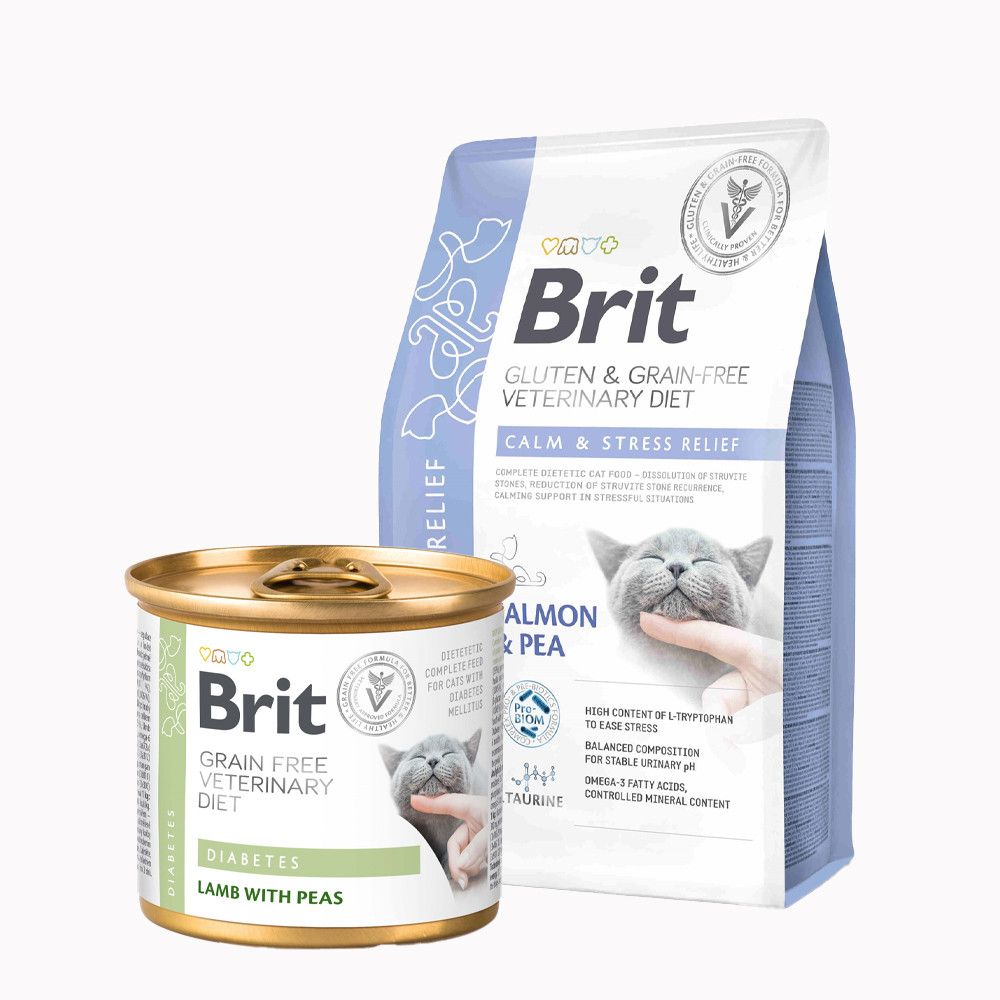 Veterinarske dijete mačke