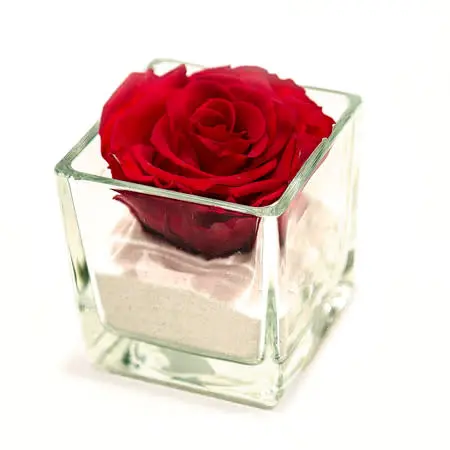 Rose stabilizzate