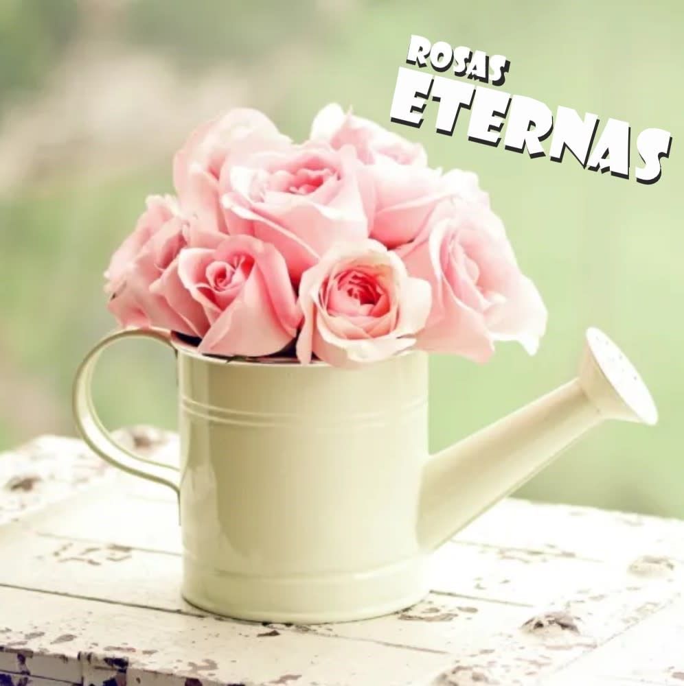 FLOR PRESERVADA & ETERNA