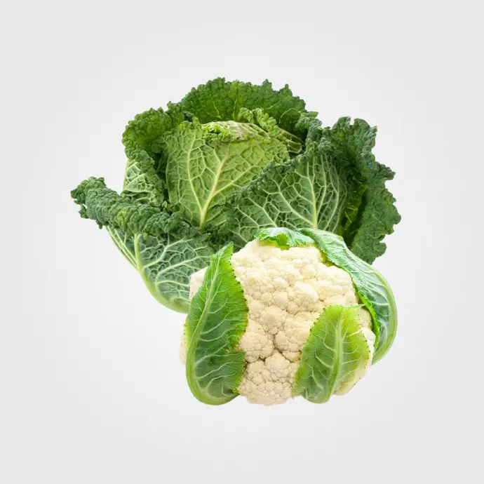 Brasicáceas