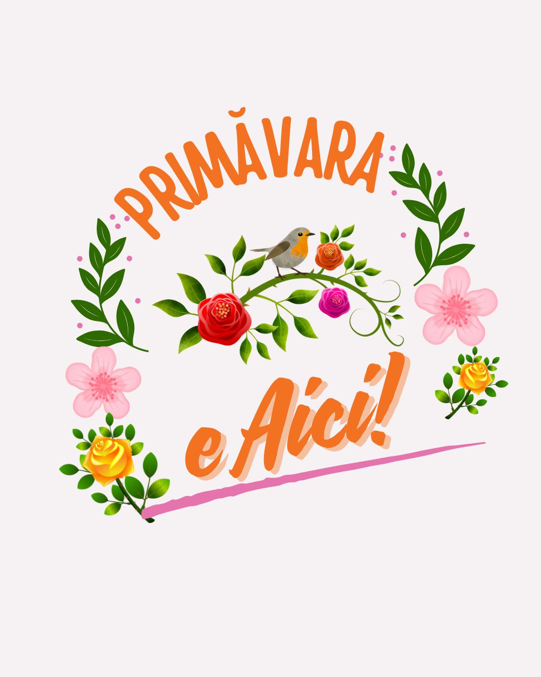 Cadouri Ocazii Speciale