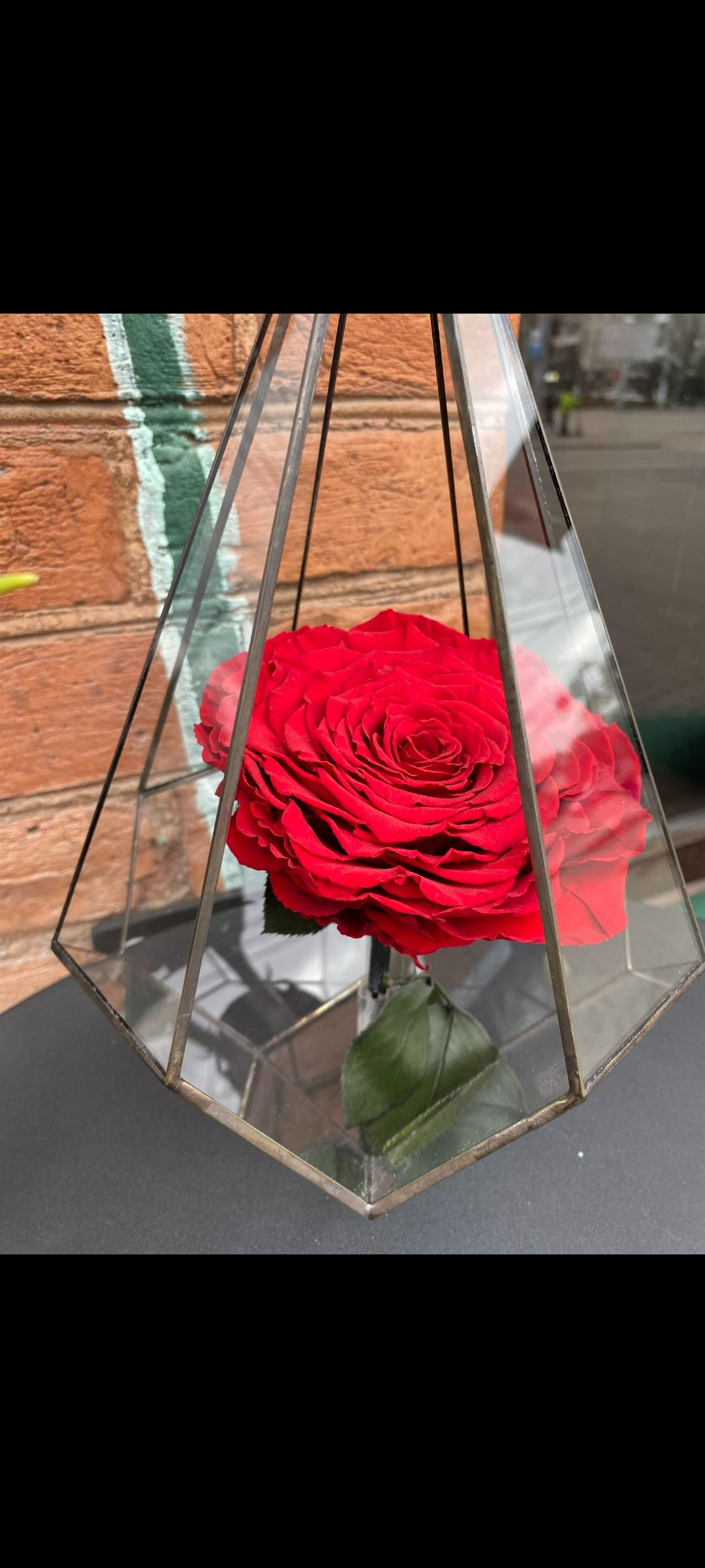 Вічна троянда в колбі