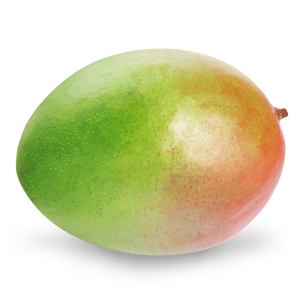 Свіжий сезон