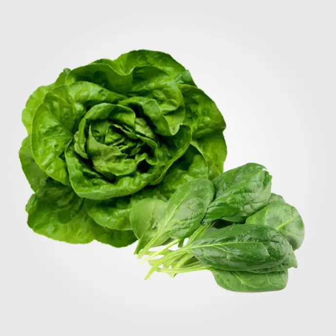 Lechugas O Ensaladas