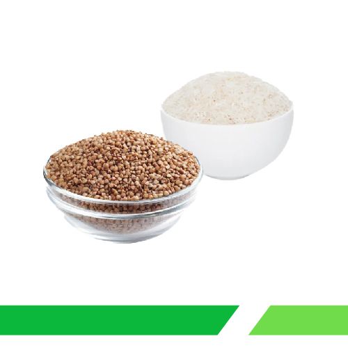 ბურღული