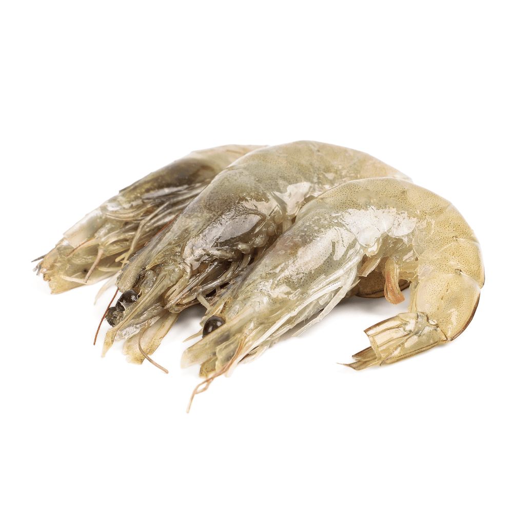 Морепродукти та молюски