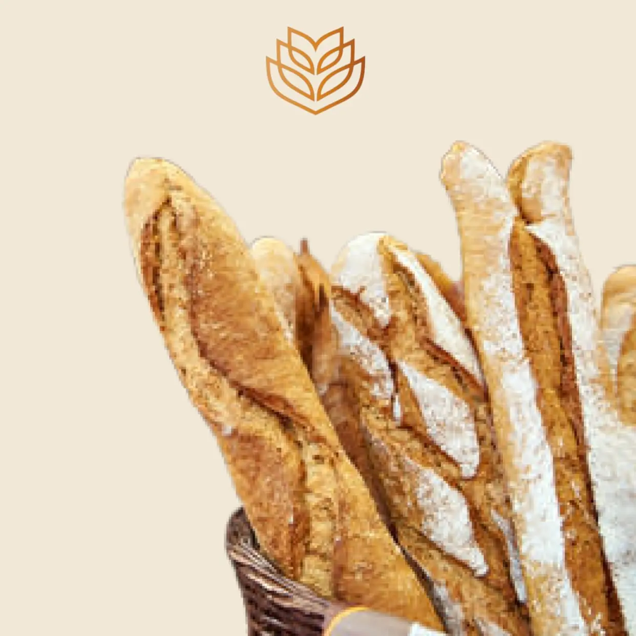 Pains et Baguettes