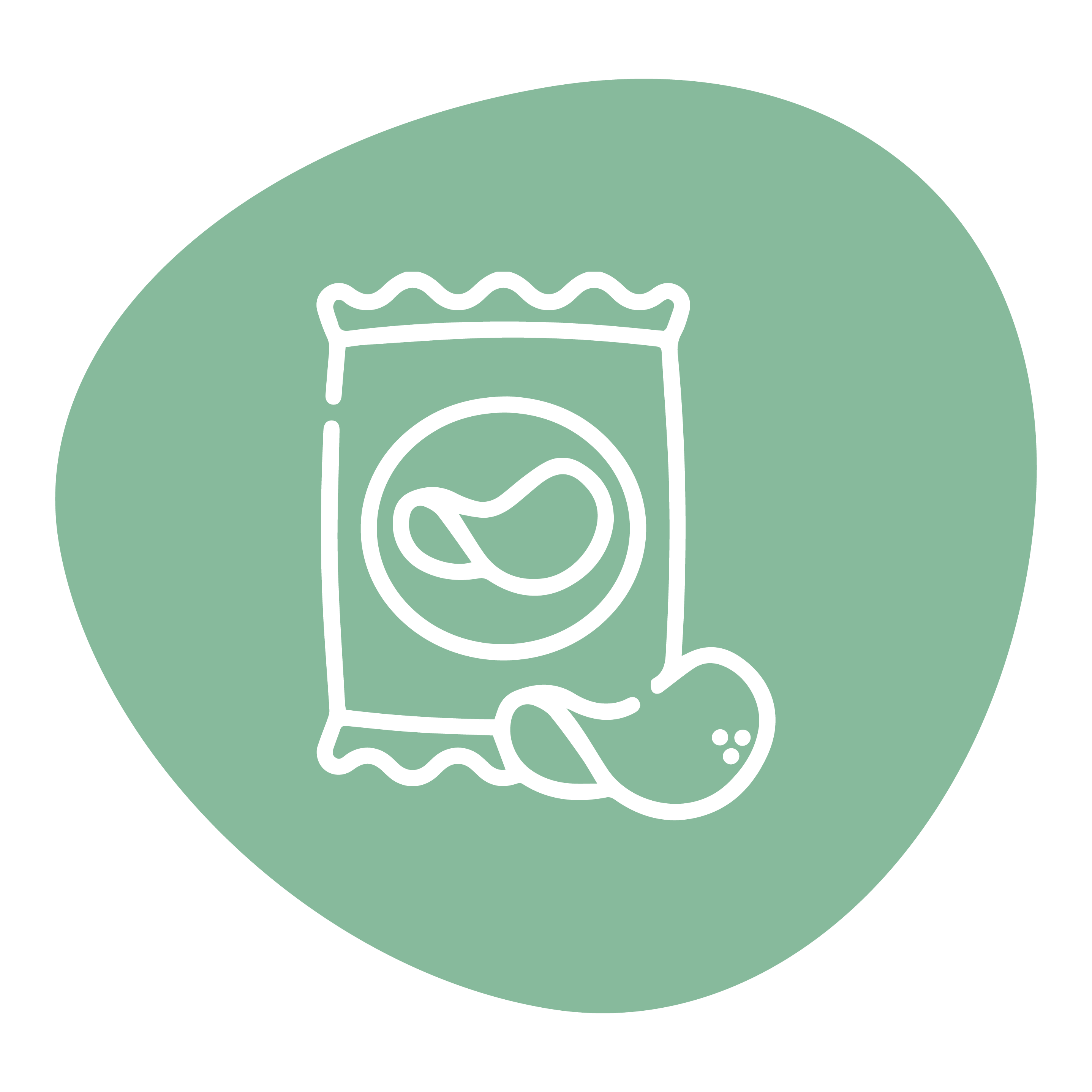 მარილიანი სნექი