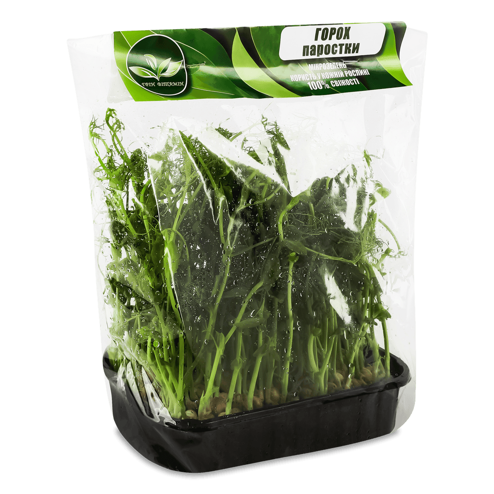 Зелень і салати