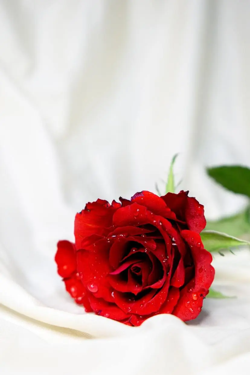 San Valentino