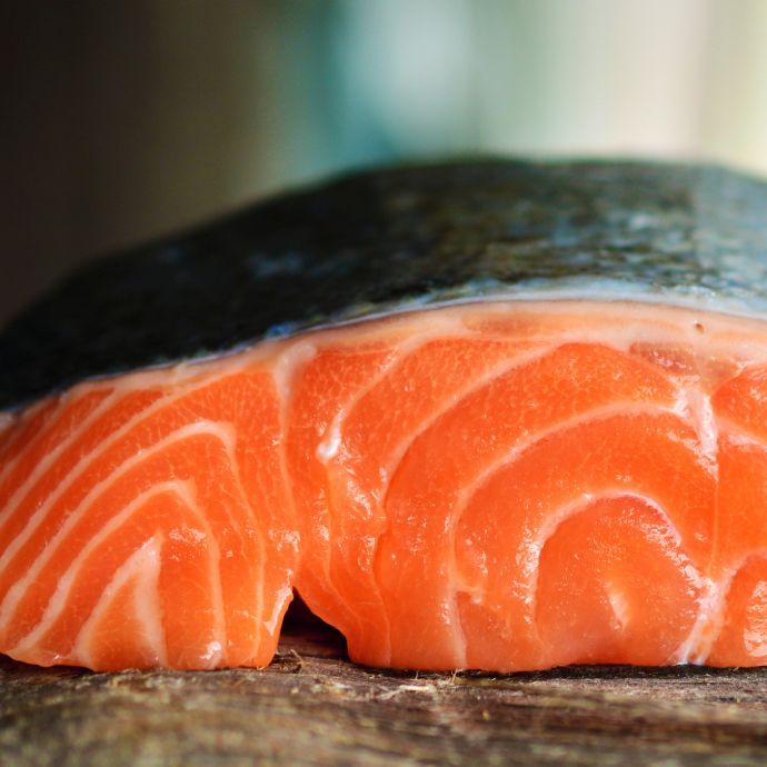 Salmón
