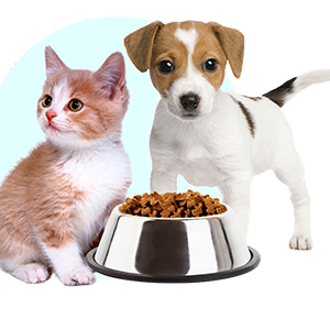 Կենդանիների կեր