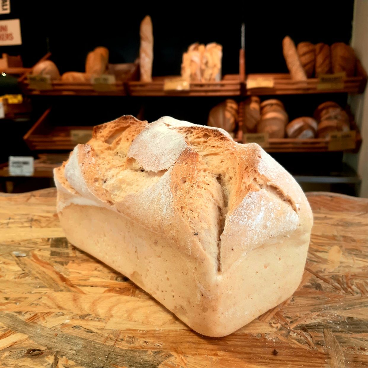 Pani con pasta madre