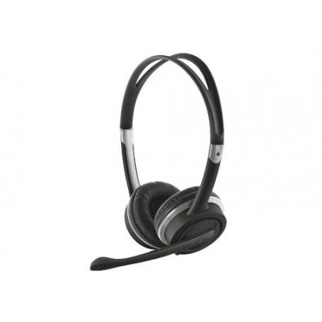 Headset