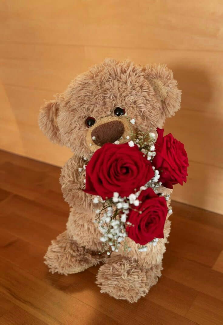 Плюшени играчки