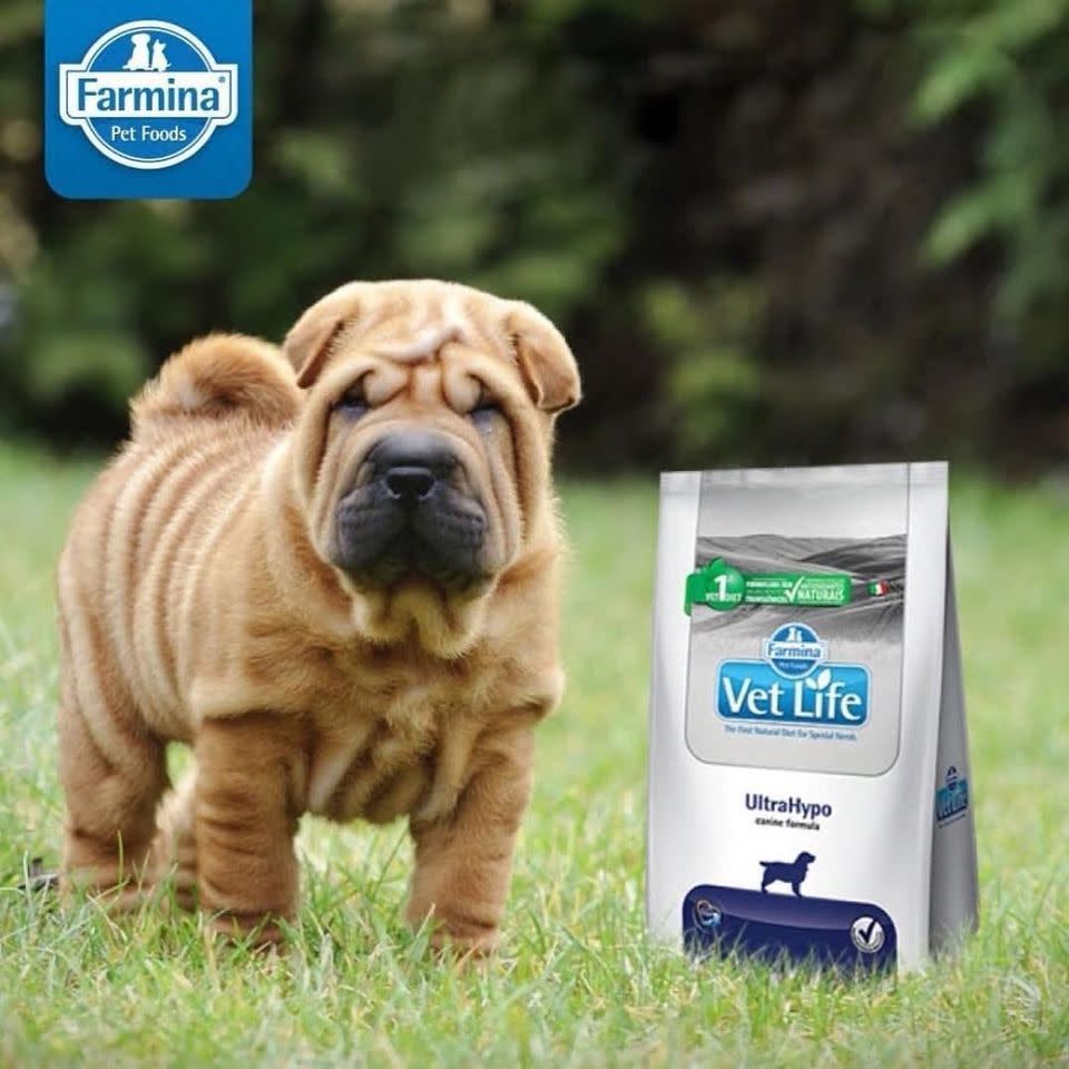  Hrana za pse Vetlife