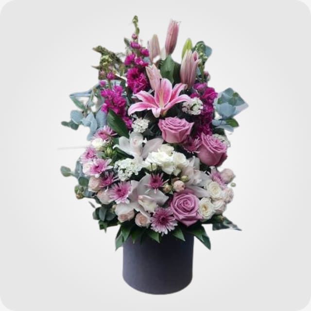 კომპოზიციები ყუთში